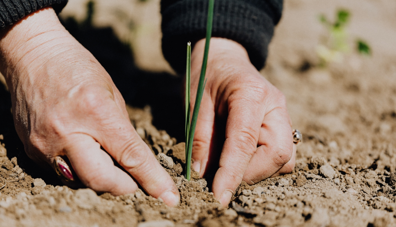 Ilustratīvs attēls