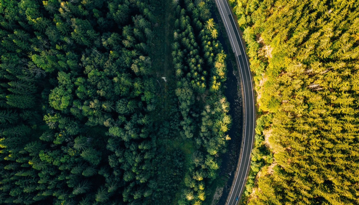 ceļš no putna lidojuma