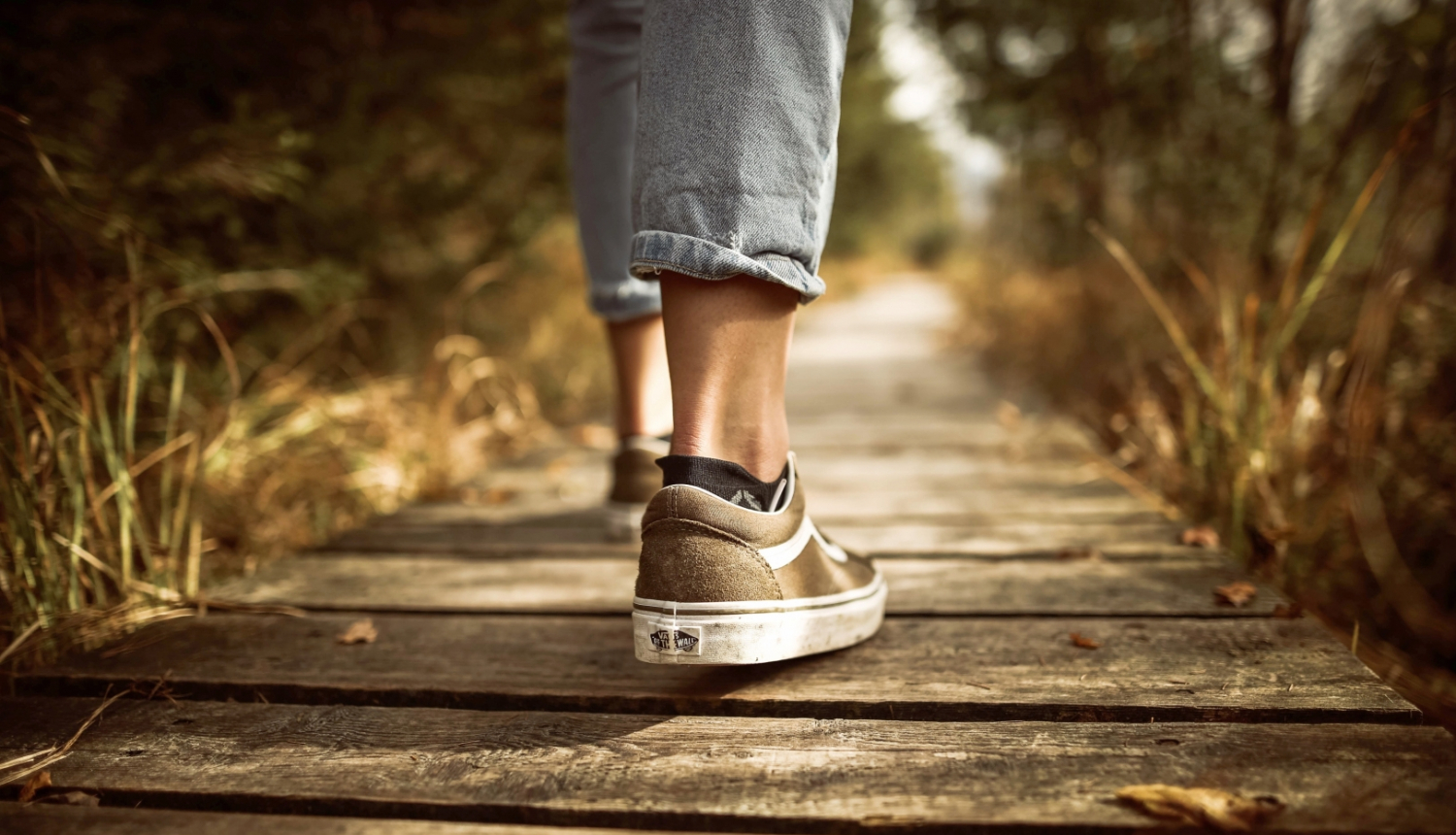 koka taciņa ar gājēju uz tās