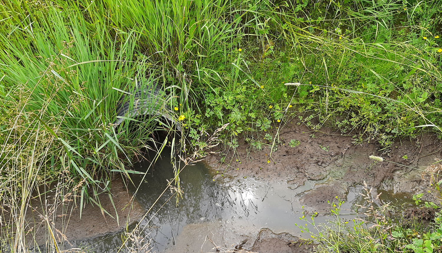 Ūdens piesārņojums