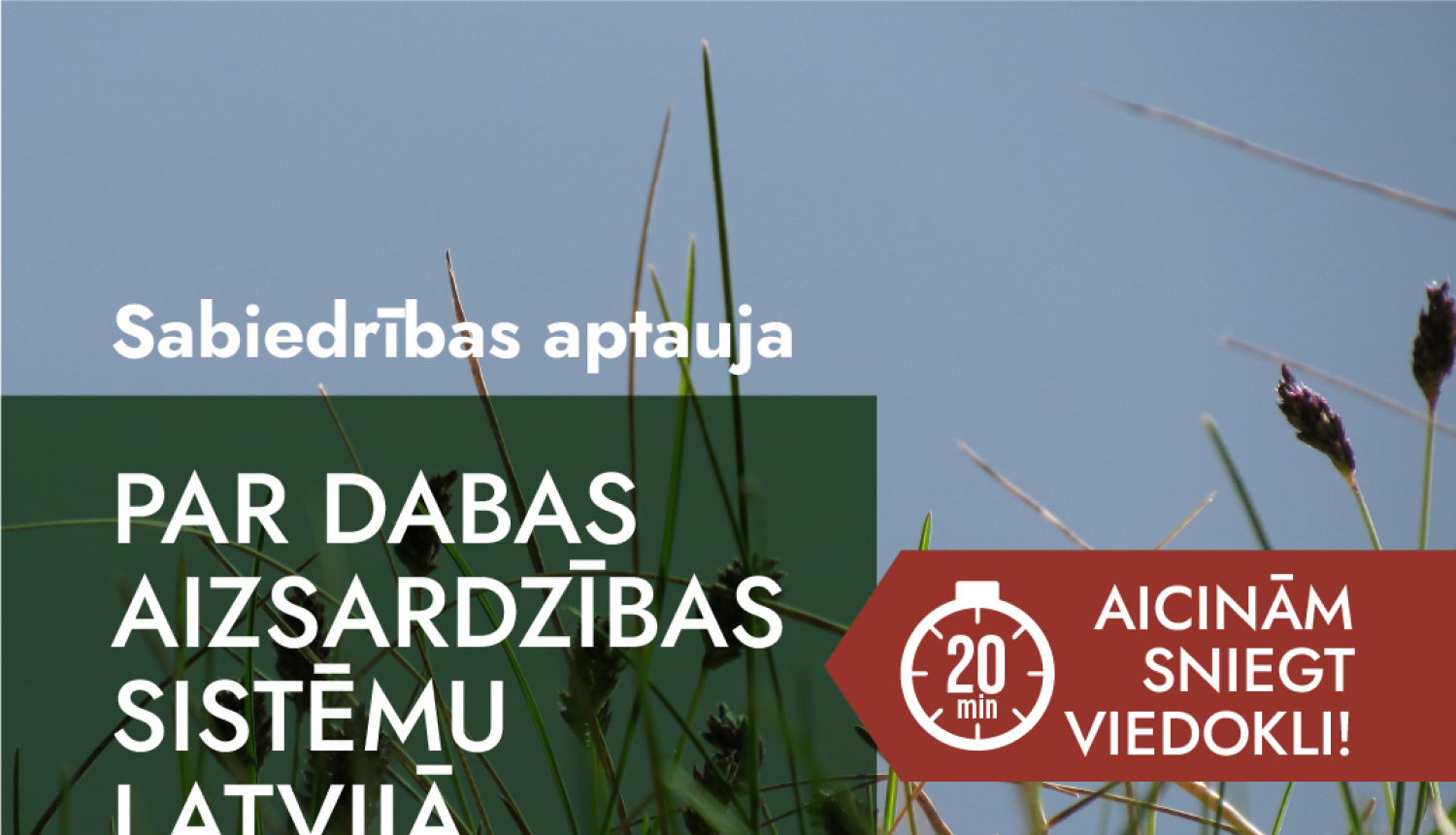 Sabiedrības aptaujas plakāts