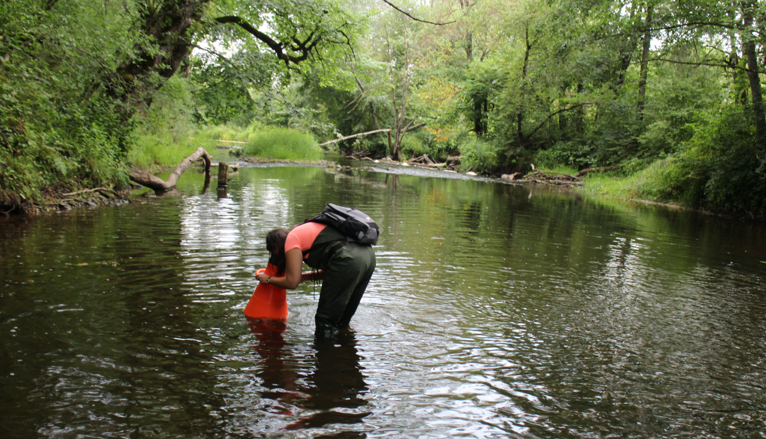 saldudens apsekojums