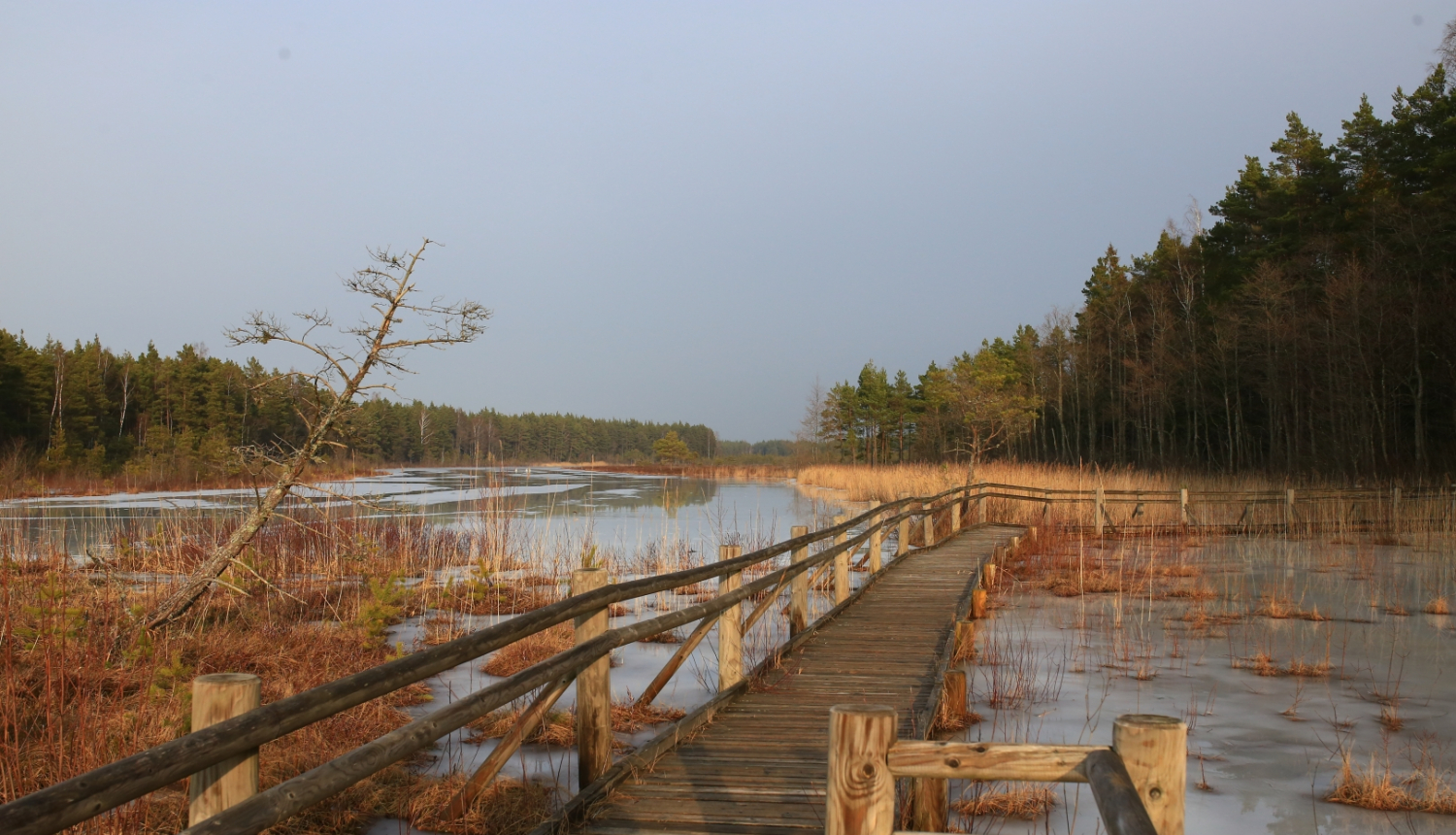 Slīteres Nacionālā parka laipa