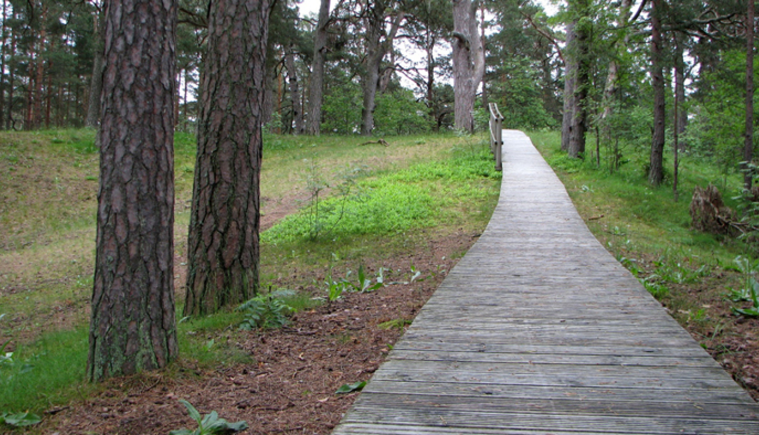 Ragakāpas dabas taka