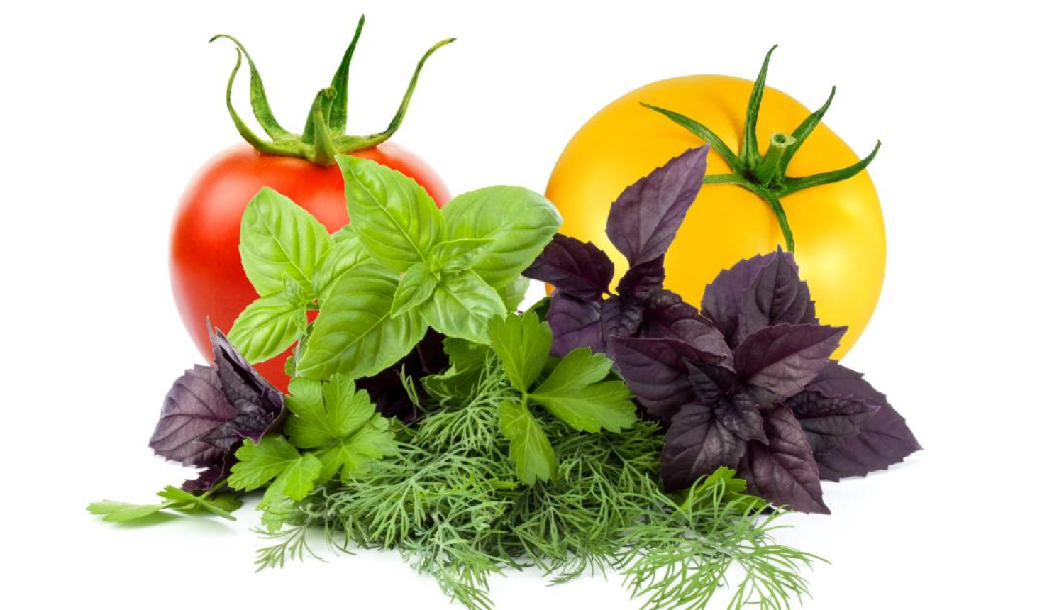 ilustratīvs attēls