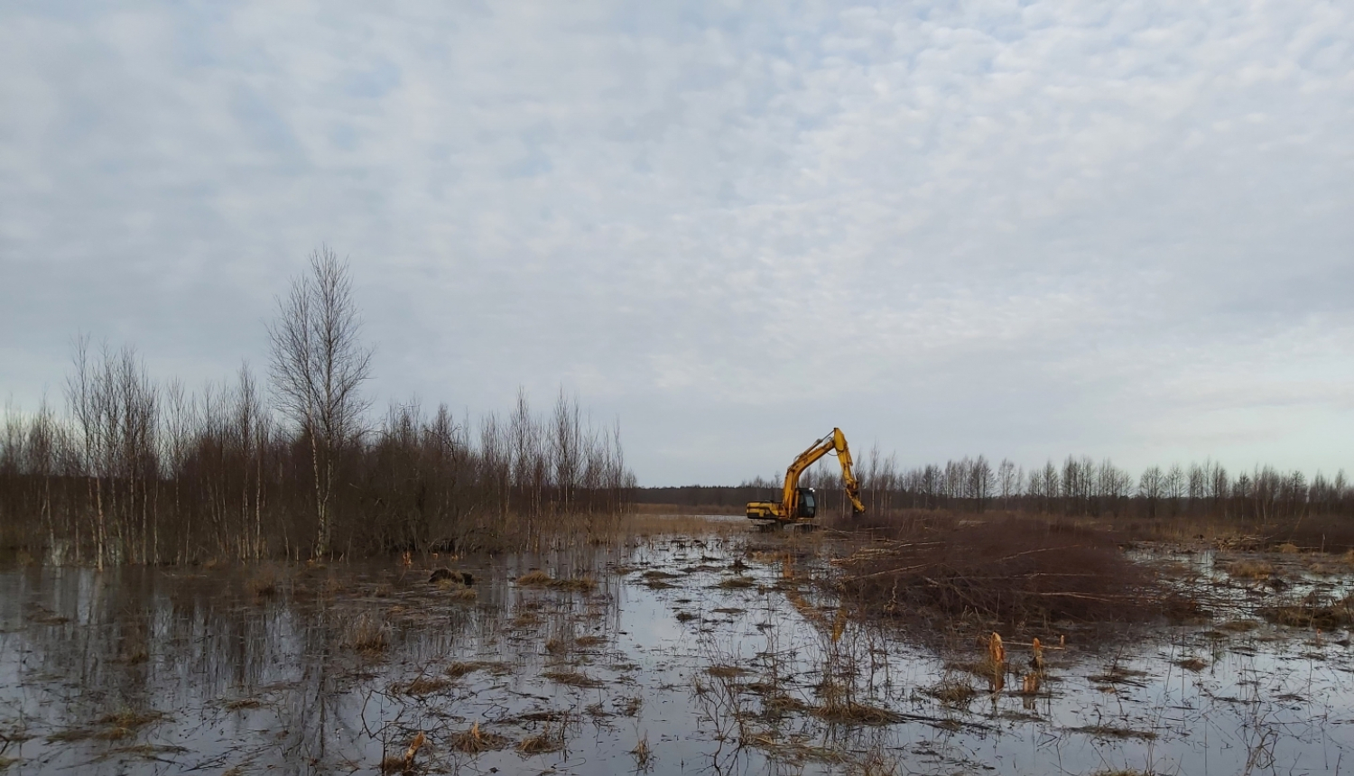 Biotopu atjaunošana