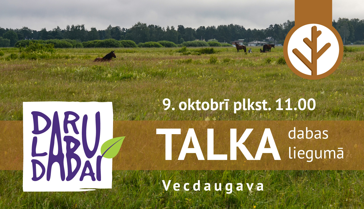 Talka