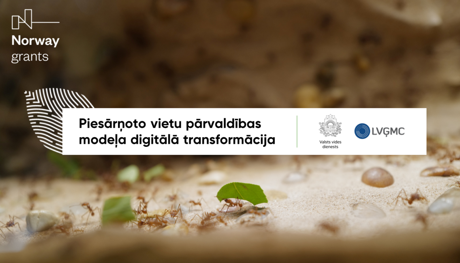 Valsts vides dienests