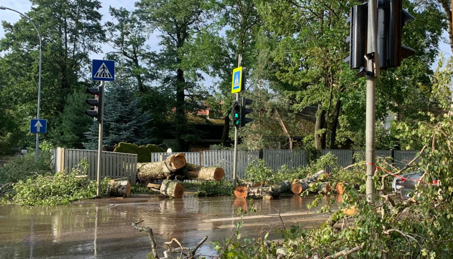 krītuši koki uz brauktuves