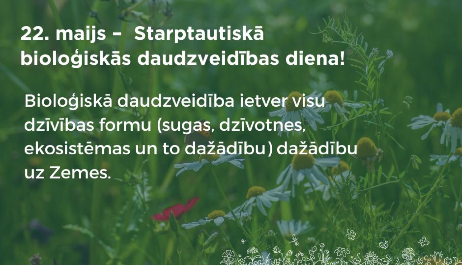 Publicitātes foto