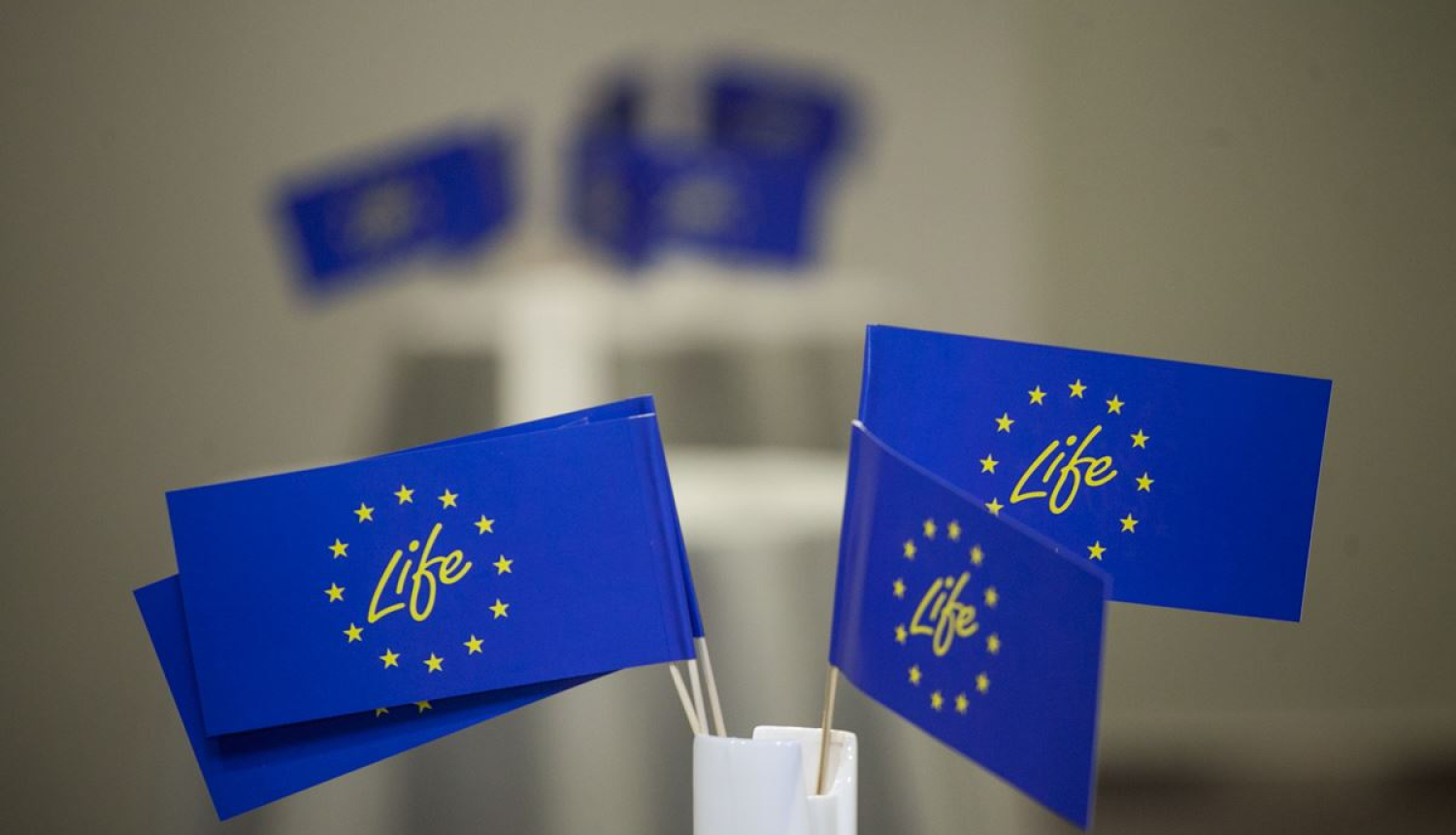 Ilustratīvs attēls