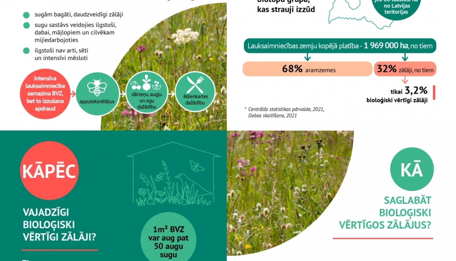 infografika