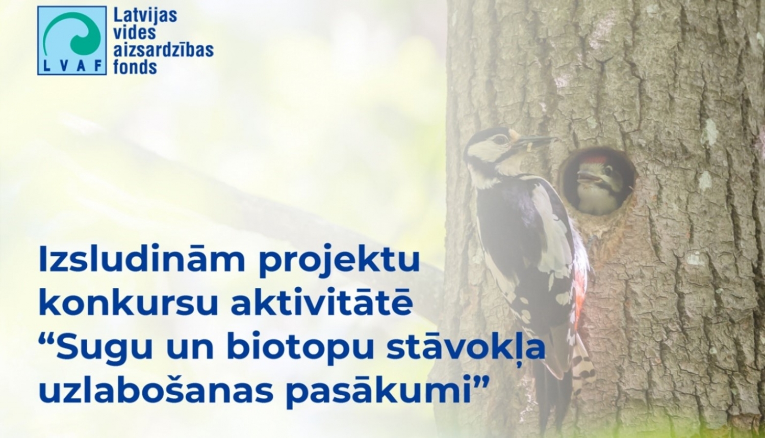 Projektu konkurss