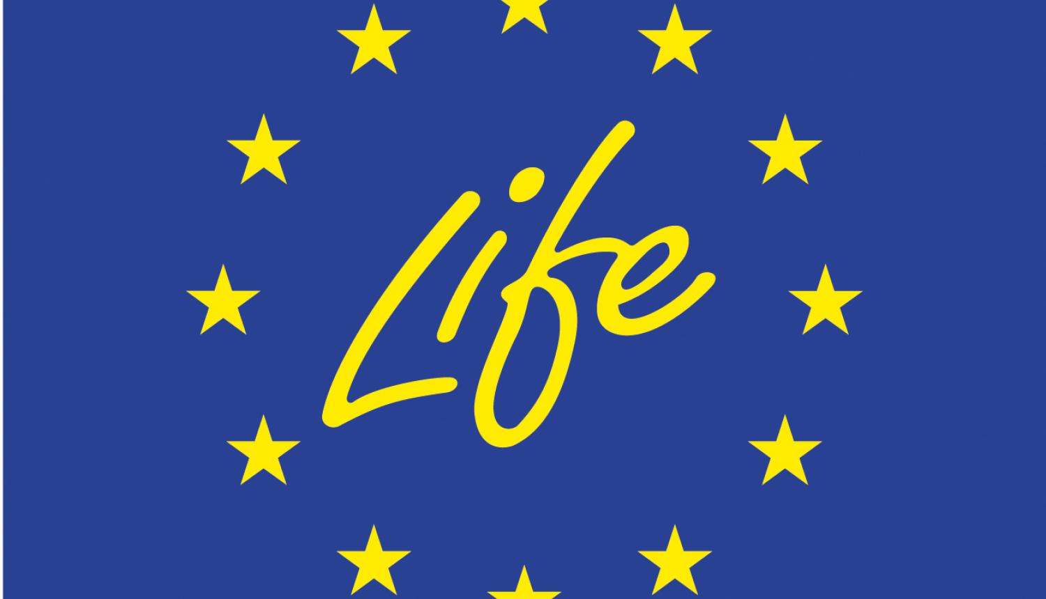 Life logo