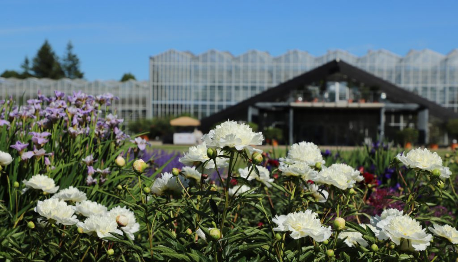 Latvijas Nacionālais botāniskais dārzs