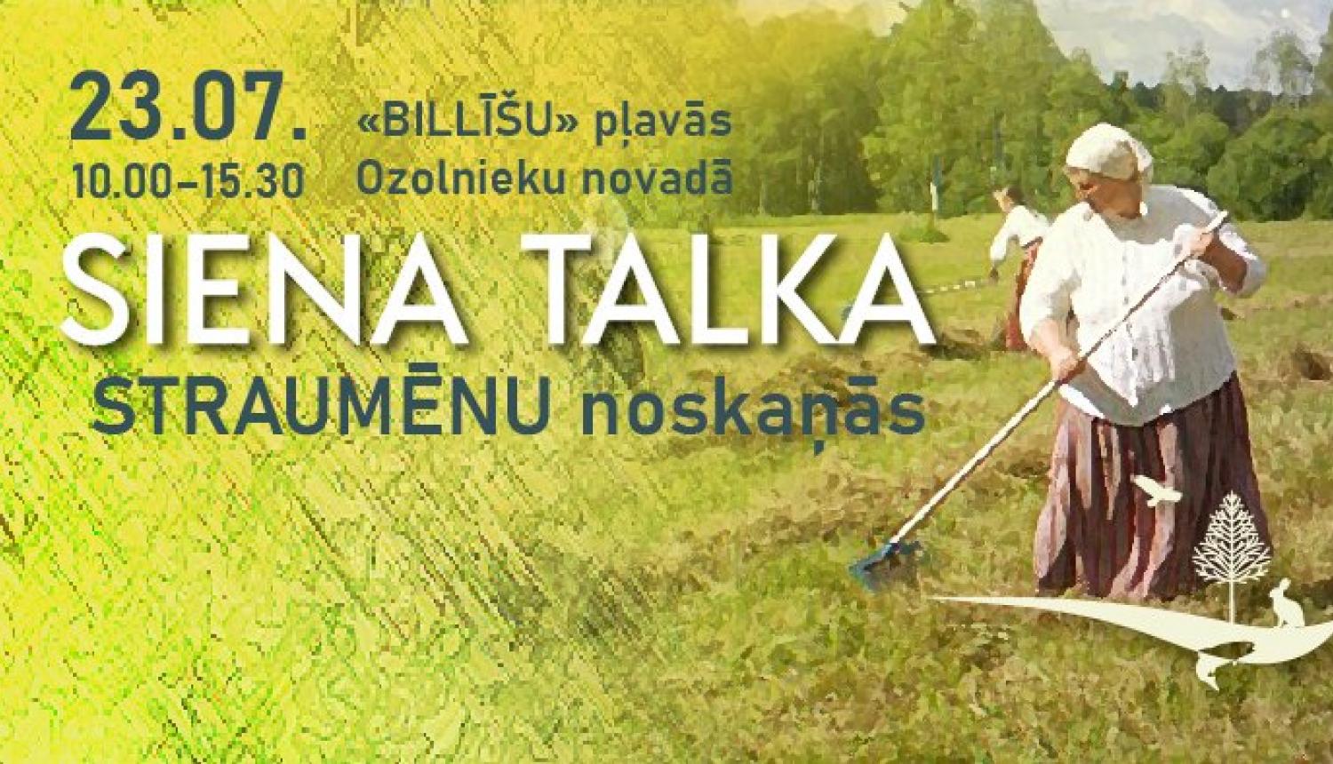 siena talka